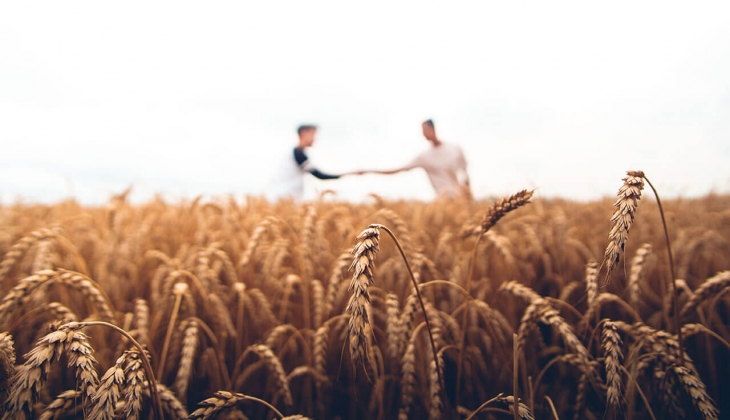 Çiftçilere buğdayda 9 bin 250 TL, arpada ise 7 bin 500 TL verilecek! Hububatta yüzde 35 lik refah payı sağlandı!