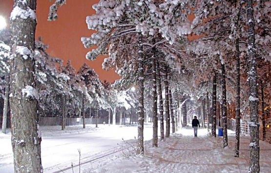 Elazığ Kovancılar da 7.9 milyon TL ye icradan satılık gayrimenkul!