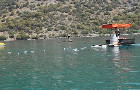 Ölüdeniz lagünü temizleniyor!