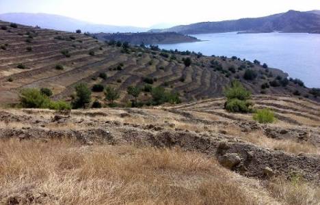 400 baraj ve göletin çevresi 2017'ye kadar ağaçlandırılacak!