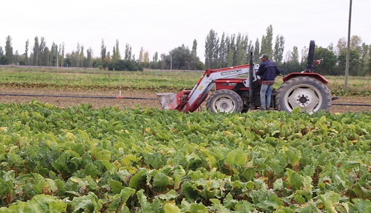 Gübre fiyatları yüzde 41 zamlandı! Milyonlarca çiftçiye şok! İşte Mart 2022 fiyat listesi...