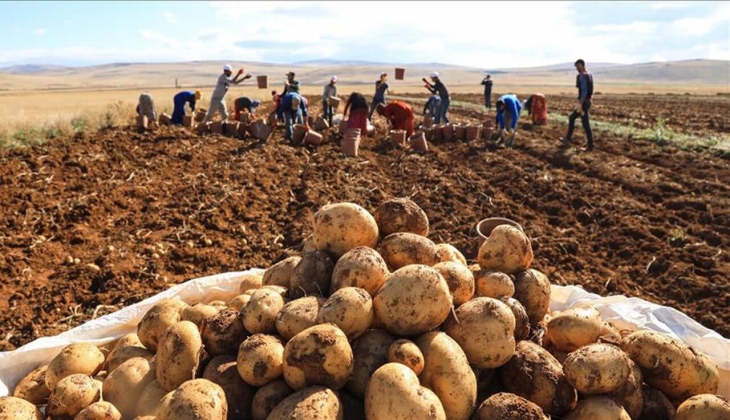 Patateste bir yıllık stok tamam! En ucuz patates Antalya Hali nde 3 TL! 28 Eylül 2022 fiyat listesi