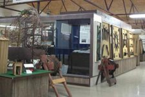 Belçika'daki M Müzesi açıldı!