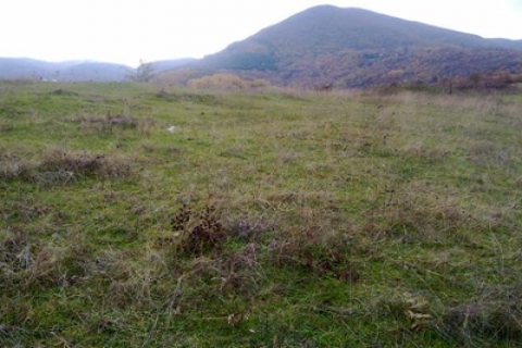 Kocaeli'de icradan 1 milyon 439 bin TL'ye satılık arsa!