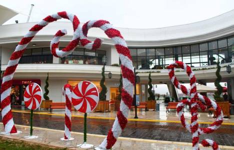 VIALAND etkinlikleri