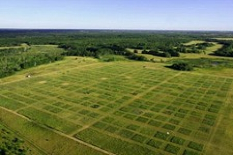 Tarım arazileri tarım dışı kullanılabilecek!
