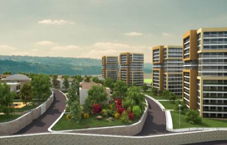 Evviva Nirvana iletişim!