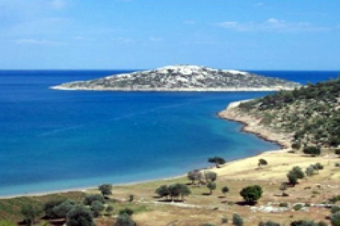 Dolphin, güneyde fırsat arıyor