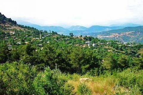 Kubbeli, minareli cami 375 bin TL'den satışa çıkarıldı! Mersin Çamlıyayla'da! 