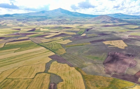 4,5 yıl önce eşiyle köye yerleşti! Atıl arazide iş kurdu!