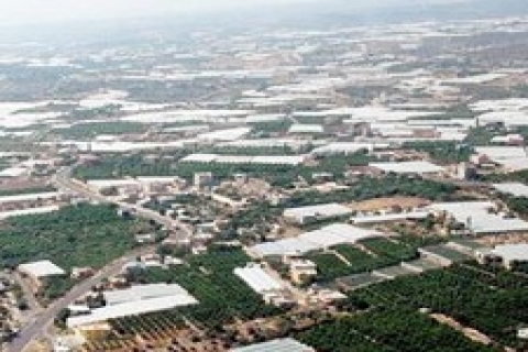 2B arazilerinin nasıl satılacağını Nurettin Canikli açıkladı!