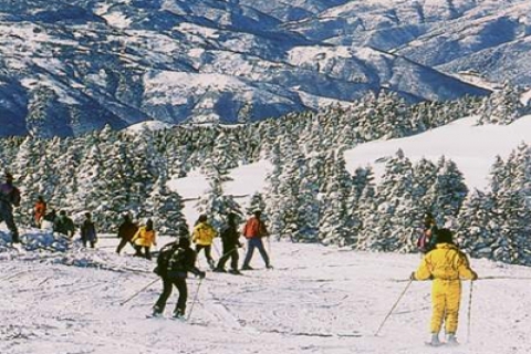 Orman ve Su İşleri Bakanlığı
