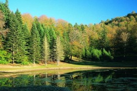 Beşiktaş Kulübü, Torkul Yaylası 'nda tesis yapacak!