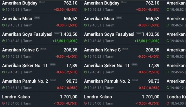 Ayçiçek, yumurta ve peynire gelen zamdan sonra bir üründe tarihi düşüş! Hemen koşun