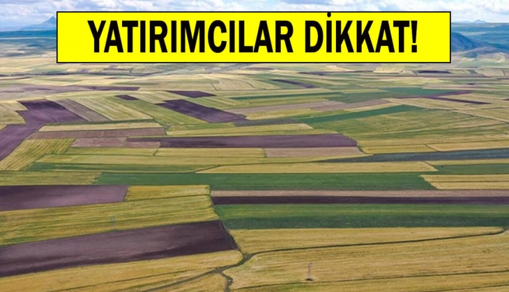 Arsa almak isteyenlere Mamak Belediyesi'nden büyük fırsat! Ankara'da 18 bin 794 metrekarelik 3 arsa satıyor!