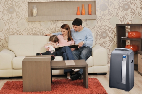 De’Longhi Pinguino PAC WE125 taşınabilir klima!