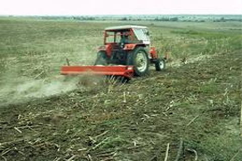 Vergi dairesi Bodrum'da tarla satacak