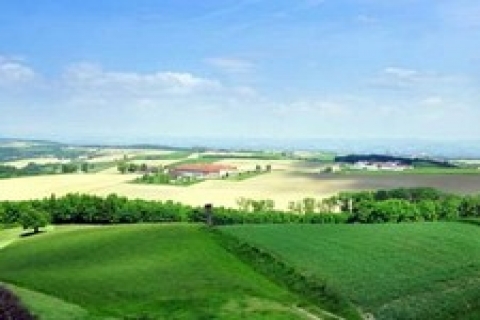 Torba Yasa'dan arsa borcunu ödemeyenler yararlanabilir mi
