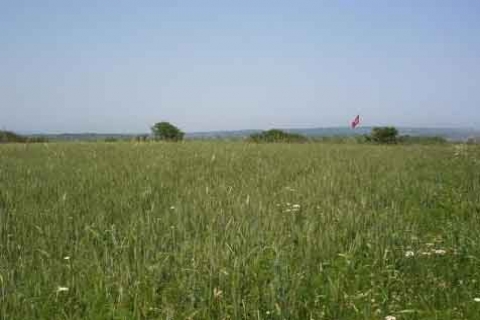Milli Emlak, Yozgat'ta iki adet arsa satıyor! 