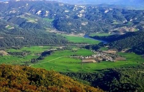 Mülkiyet açısından Hazine arazileri kaça ayrılır?