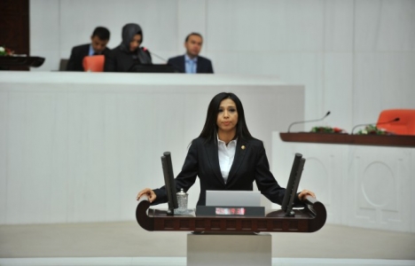 İstanbul'un kuzey ormanlarındaki yapılaşma sorunu mecliste! 