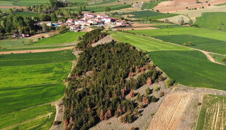 Tarım Bakanlığı’ndan yıllardır beklenen müjde! Arazi sahipleri turnayı gözünden vurdu! Resmi Gazete’de yayımlandı!