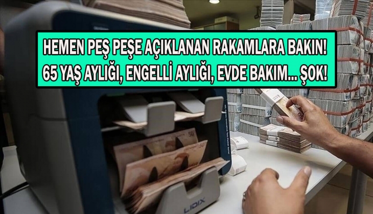 Sosyal destek ödemelerine yeni zam var mı? 65 yaş aylığı, engelli aylığı, evde bakım maaşı ne kadar ödenecek?