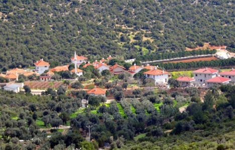 Urla Vilları'nın sürdürülebilir koruma kararı iptal mi edilecek?