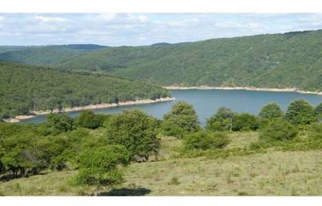 Orman kadastrosu ve 2/B uygulama yönetmeliğinde değişiklik yapılmasına dair yönetmelik!