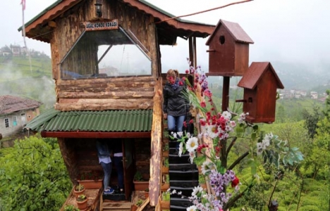 Ceviz ağacından 2 katlı ahşap ev inşa etti!