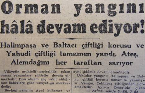 1945 yılında Halim Paşa Korusu ve Baltacı çiftliği Korusu tamamen yanmış!