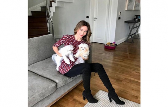 Demet Şener in iki oda bir havuzlu evi!