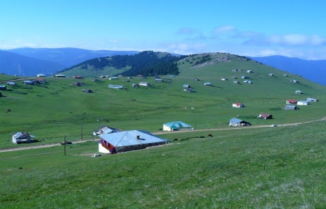 Maçka kaçak yapılardan temizleniyor!