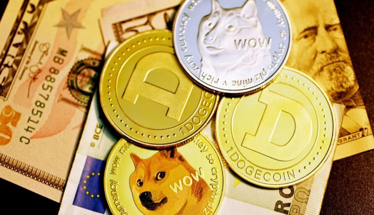 Dogecoin Balinaları, bu 10 Altcoin'den alıyor!