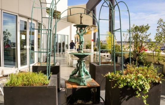 Paris çatılarında tarım!