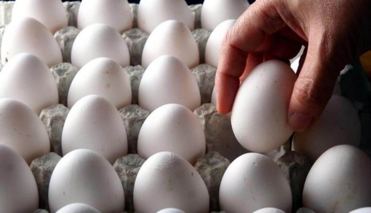 Bu haber büyük küçük herkesi üzecek! Kuş gribi yeniden görüldü artık yumurtaları tane ile alacağız! Bu zam cep yakacak