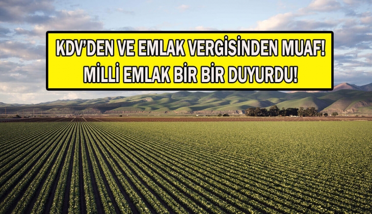 Milli Emlak resmen açıkladı! Tam 51 bin TL'ye arsa satılıyor! Yüzde 20 indirim ve 8 taksit fırsatını kaçırmayın! 
