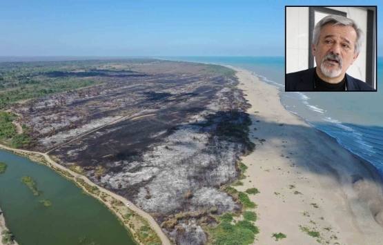 Samsun Kuş Cenneti imara mı açılıyor?