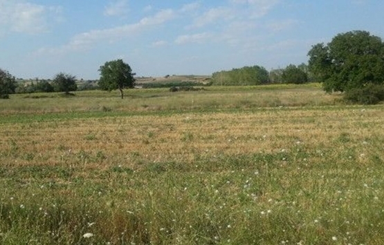 Antalya Serik te arazi kavgasının duruşması görüldü!