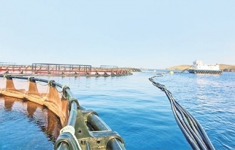 İzmir'de su ürünleri için OSB kurulacak!