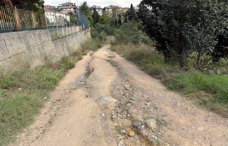 Validebağ Korusu böyle olacak!