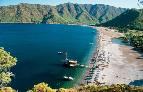 Adrasan’a yangın durdurucu ağaçlar dikilecek!