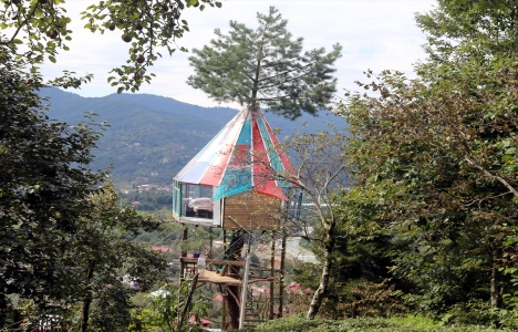 Osman Kaba, çam gövdesine süit daire yaptı!