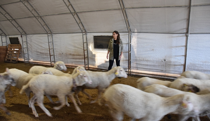Girişimci kadınlara müjde! 13 bin kadın girişimciye destek geliyor!