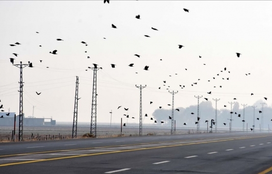 Muş Merkez de 14.6 milyon TL ye satılık gayrimenkul!