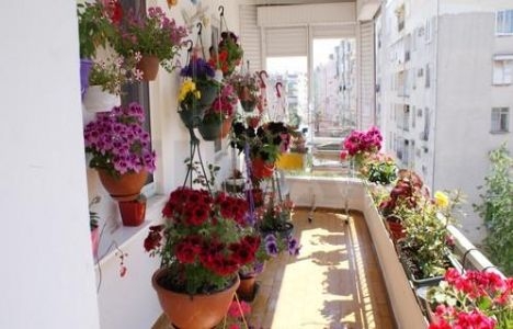 Antalya En Güzel Balkon Yarışması sonuçları bugün açıklanıyor!