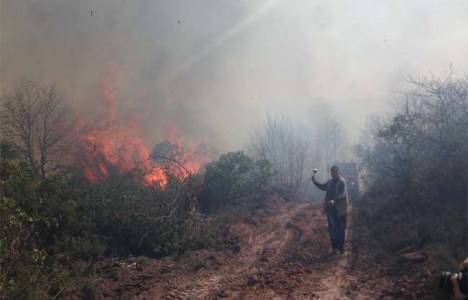 Şile‘de orman yangını!