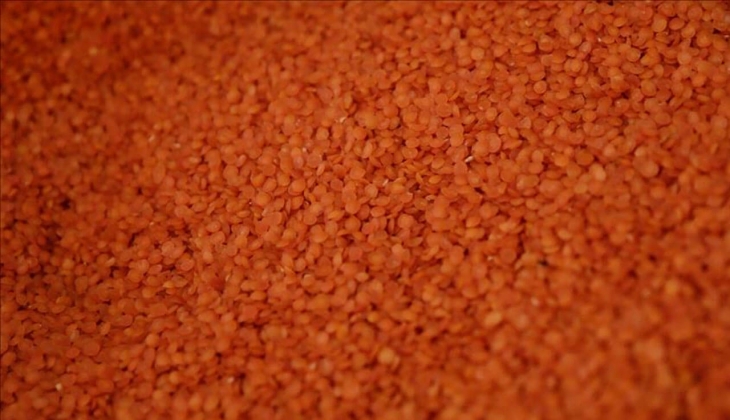 Toprak Mahsulleri Ofisi açıkladı! Kırmızı mercimek alım fiyatı belli oldu!