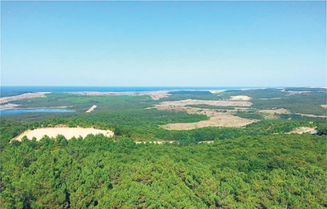 Orman Kanunun 16. maddesinin uygulama yönetmeliğinde değişiklik!
