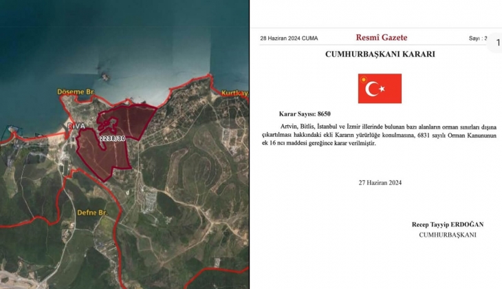 Cumhurbaşkanı Erdoğan, İstanbul Beykoz, İzmir, Artvin ve Bitlis teki yüzlerce hektarlık alanı orman vasfından çıkardı!